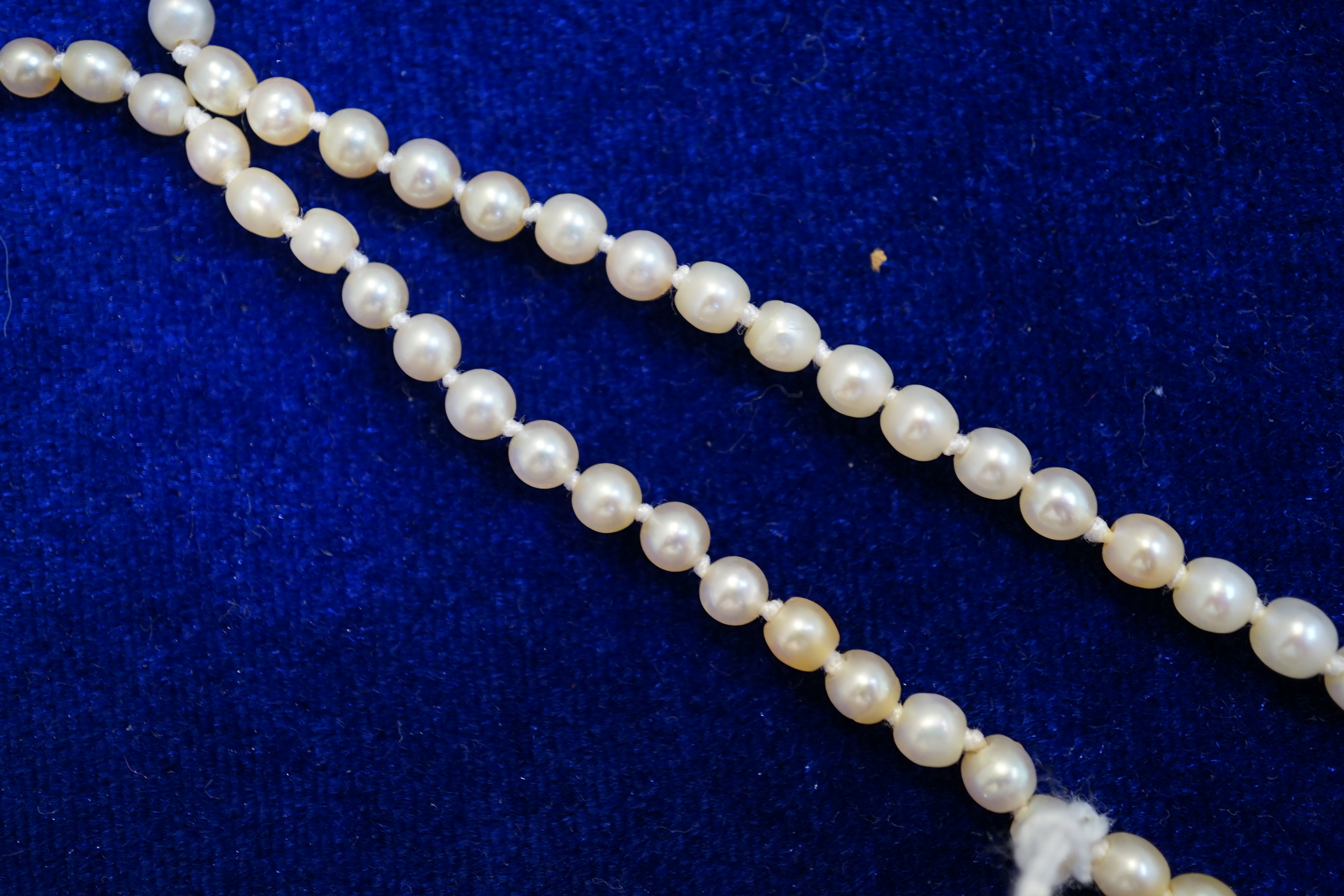 An early 20th century single strand graduated natural pearl and seed pearl necklace, with three stone diamond set clasp and Anchor Cert report dated 27/6/2014 stating an extensive sample to be natural pearls